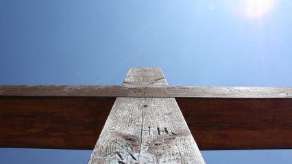 Diam phasellus vestibulum lorem sed risus